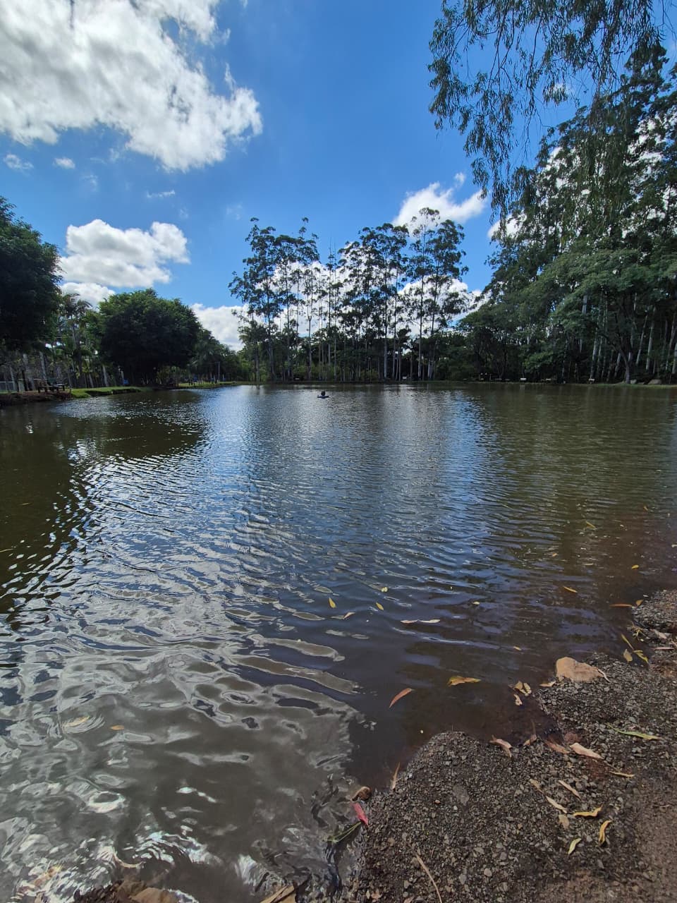 Pesque e Pague - Experiência premium na Toca do Jacaré em Londrina