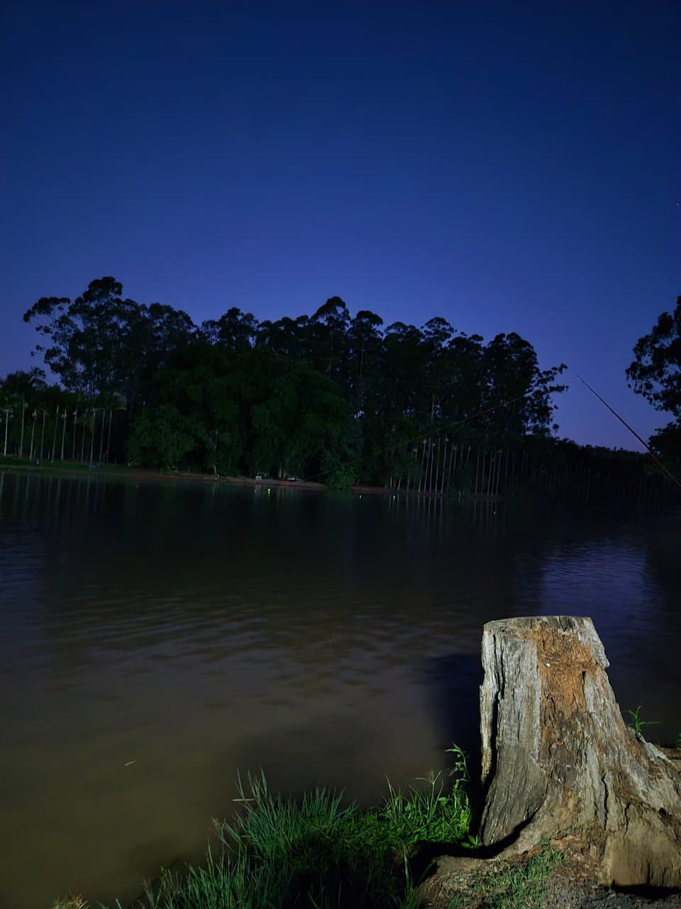 Contato com a natureza - Um ambiente cercado por verde, perfeito para descansar a mente. na Toca do Jacaré