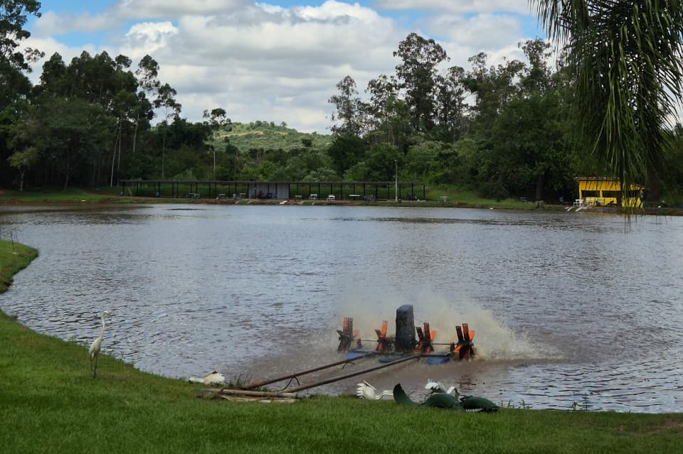 Muito além da pesca - Aqui, você não vem só pescar. Vem aproveitar. na Toca do Jacaré