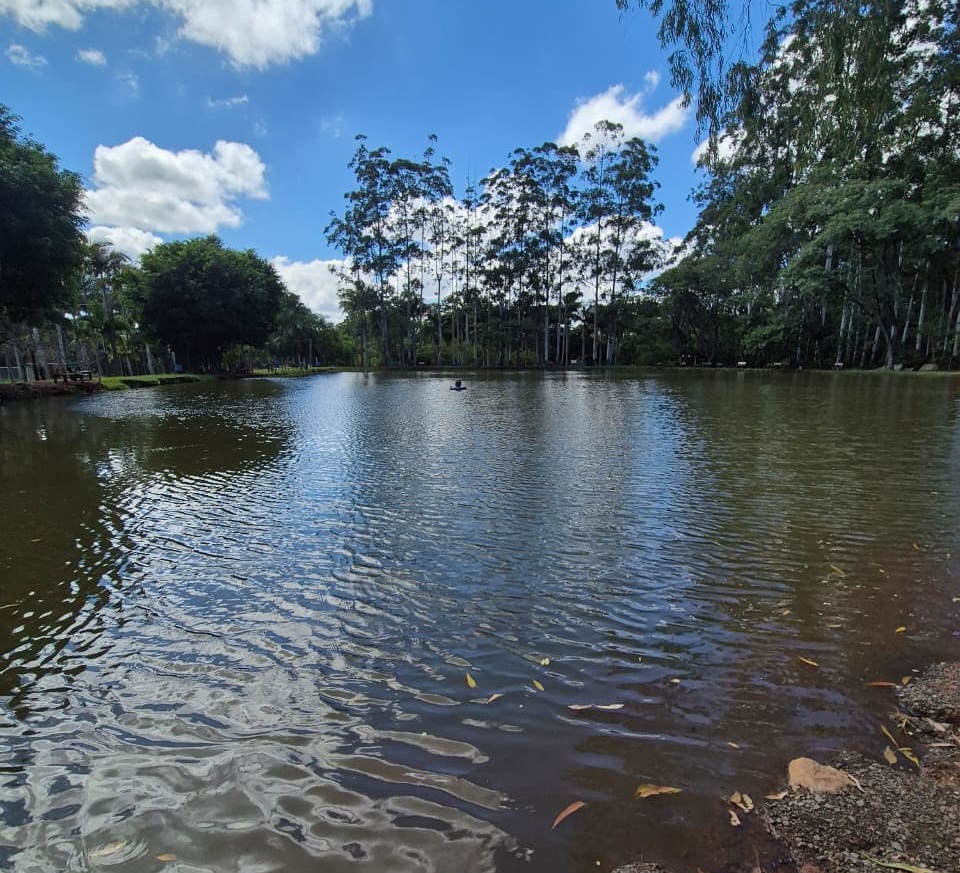 Águas Serenas - Lagos desenhados pela paisagem. Onde o barulho da natureza dita o ritmo do seu descanso. no Pesqueiro Toca do Jacaré