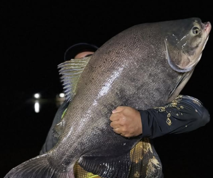 Pesca no seu tempo - Sem pressa, sem pressão. Apenas você, a água e o momento. na Toca do Jacaré