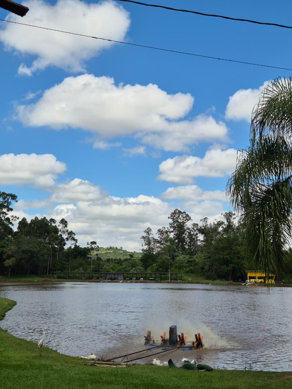 Pesca Esportiva - Experiência premium na Toca do Jacaré em Londrina