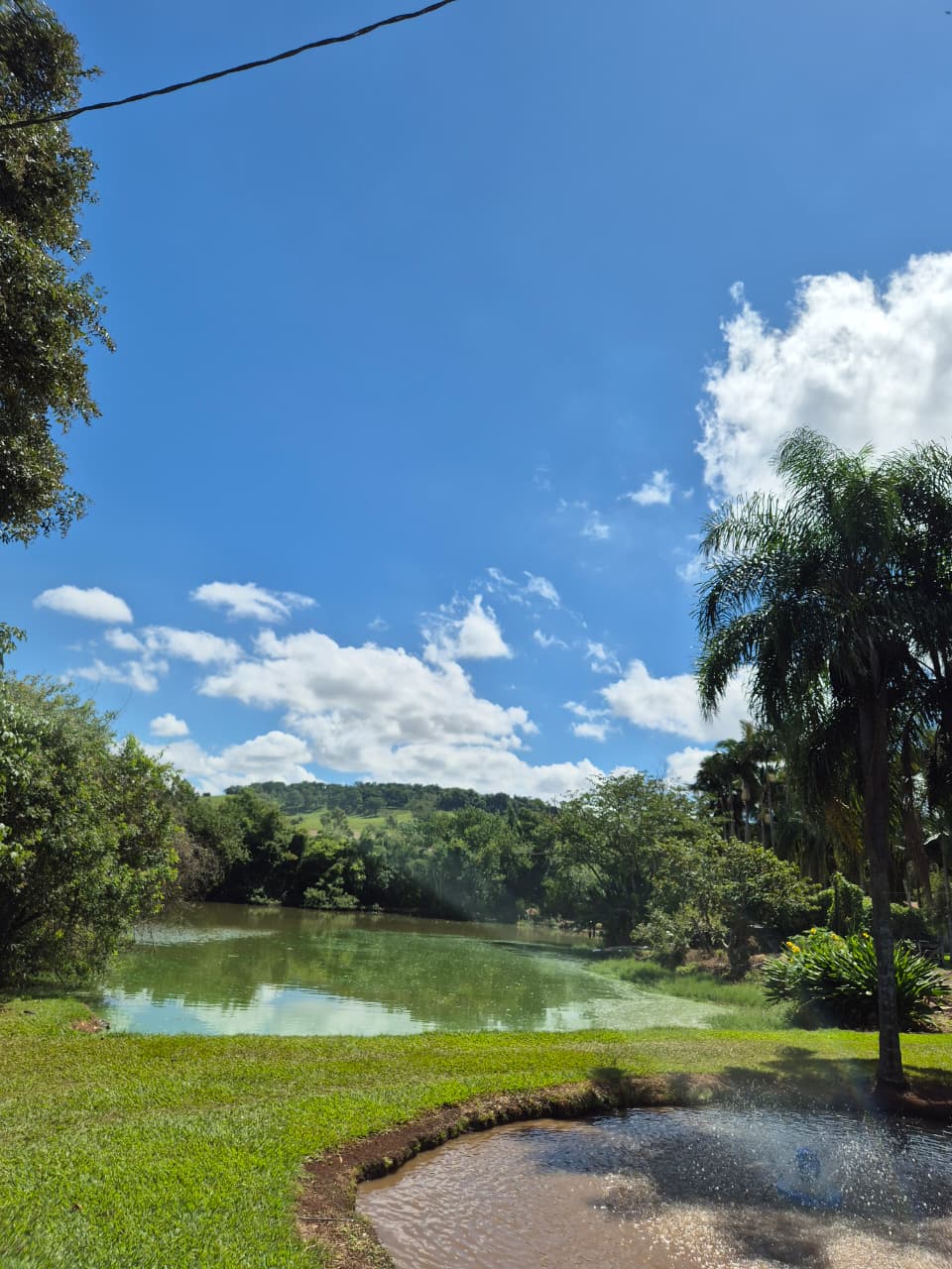 Pesca Esportiva - Experiência premium na Toca do Jacaré em Londrina